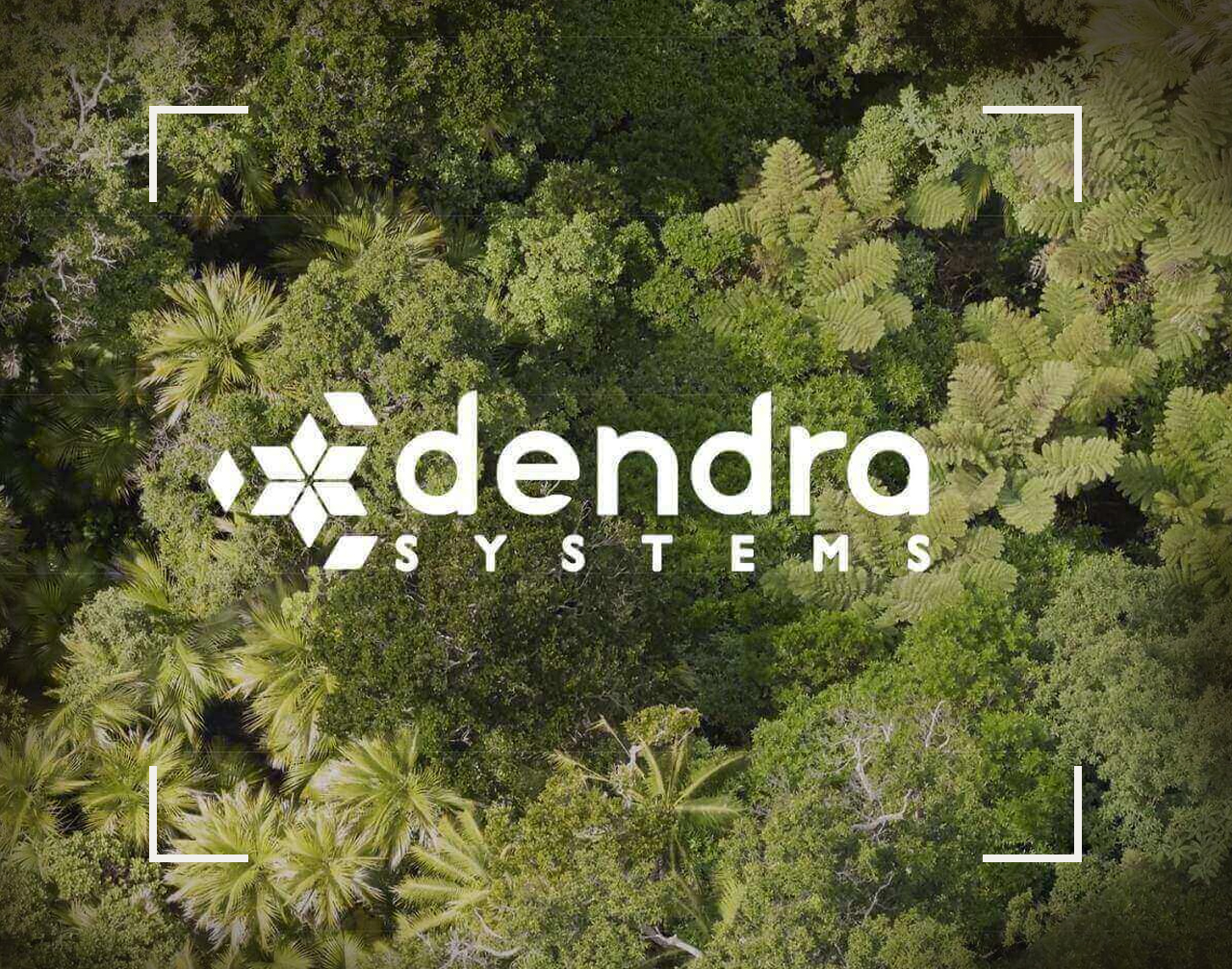 احیای جنگل‌ها با “سیستم دندرا”